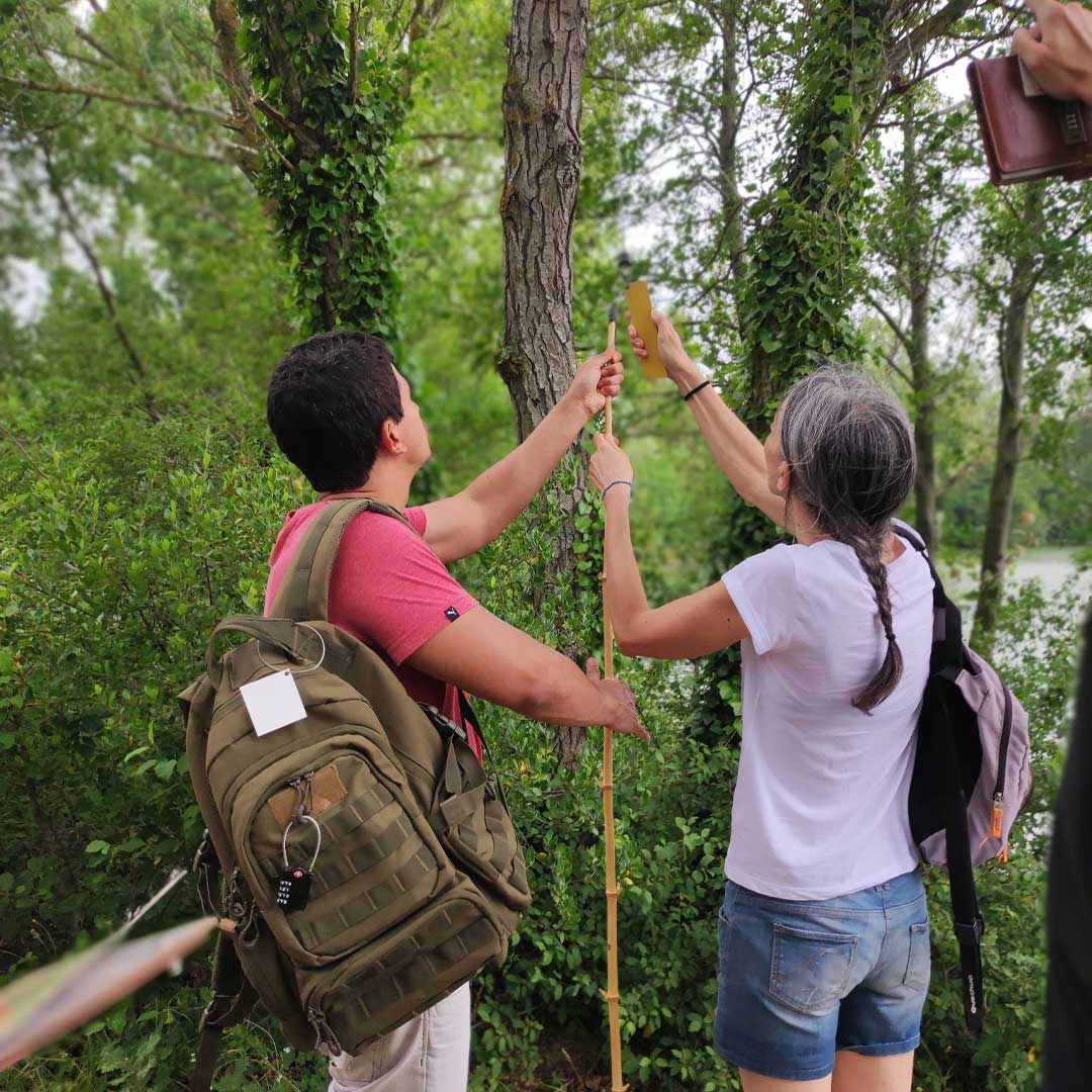 natura_quest_fun_granhota_rnr_ete_summer_nature_toulouse