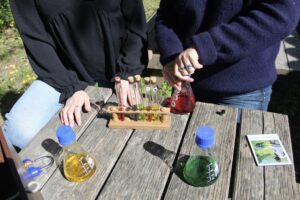 Natura Quest photo